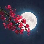 از وهم تا وحی